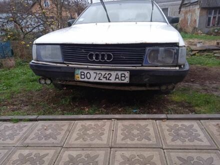 Ауді 100 1988 у Тернополі на Automoto.ua Білий Ауді 100, об'ємом двигуна 2 л та пробігом 350 тис. км за 750 $, фото 1 на Automoto.ua