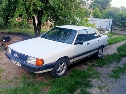 Ауді 100 1990 у Гайвороне на Automoto.ua Білий Ауді 100, об'ємом двигуна 1.8 л та пробігом 116 тис. км за 1379 $, фото 1 на Automoto.ua