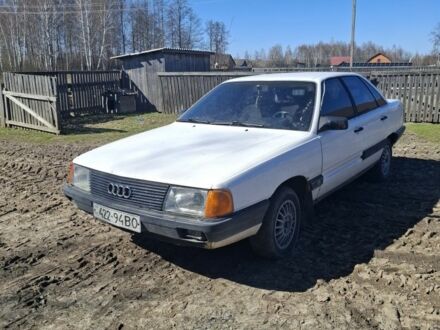 Ауди 100 1990 в Сарнах на Automoto.ua Белый Ауди 100, объемом двигателя 1.8 л и пробегом 23 тыс. км за 1350 $, фото 1 на Automoto.ua