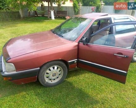 Ауди 100 1987 в Черновцах на Automoto.ua Красный Ауди 100, объемом двигателя 2 л и пробегом 268 тыс. км за 1500 $, фото 1 на Automoto.ua