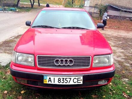 Ауди 100 1993 в Киеве на Automoto.ua Красный Ауди 100, объемом двигателя 2 л и пробегом 0 тыс. км за 1600 $, фото 1 на Automoto.ua
