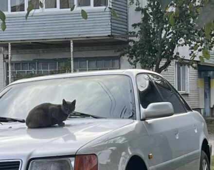 Серый Ауди 100, объемом двигателя 2.8 л и пробегом 390 тыс. км за 2000 $, фото 5 на Automoto.ua