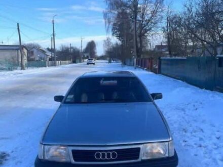 Сірий Ауді 100, об'ємом двигуна 2.2 л та пробігом 100 тис. км за 1200 $, фото 1 на Automoto.ua