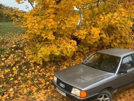 Ауди 100 1984 в Лановцах на Automoto.ua Серый Ауди 100, объемом двигателя 1.8 л и пробегом 50 тыс. км за 1100 $, фото 1 на Automoto.ua