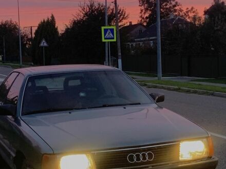 Ауди 100 1984 в Владимир-Волынский на Automoto.ua Серый Ауди 100, объемом двигателя 2 л и пробегом 322 тыс. км за 1700 $, фото 1 на Automoto.ua