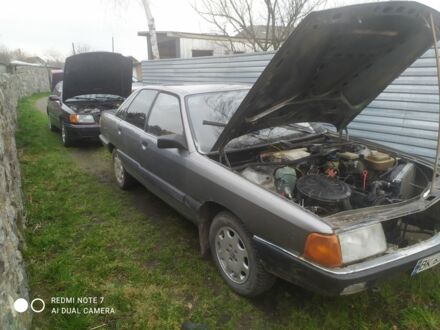 Ауди 100 1985 в Староконстантинов на Automoto.ua Серый Ауди 100, объемом двигателя 2 л и пробегом 3 тыс. км за 578 $, фото 1 на Automoto.ua