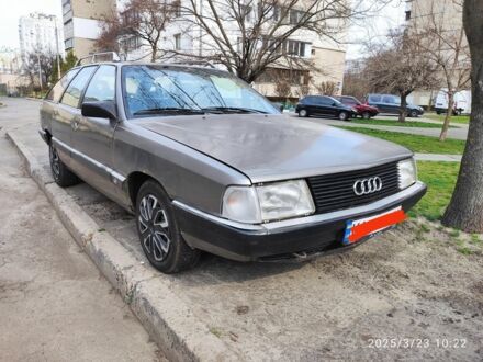 Ауди 100 1986 в Киеве на Automoto.ua Серый Ауди 100, объемом двигателя 2 л и пробегом 43 тыс. км за 1700 $, фото 1 на Automoto.ua