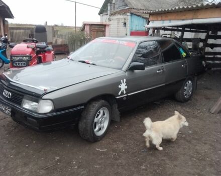 Сірий Ауді 100, об'ємом двигуна 1.8 л та пробігом 300 тис. км за 1500 $, фото 1 на Automoto.ua