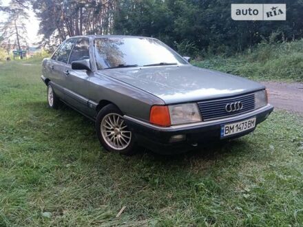 Ауді 100 1986 у Сумах на Automoto.ua Сірий Ауді 100, об'ємом двигуна 1.8 л та пробігом 320 тис. км за 1800 $, фото 1 на Automoto.ua