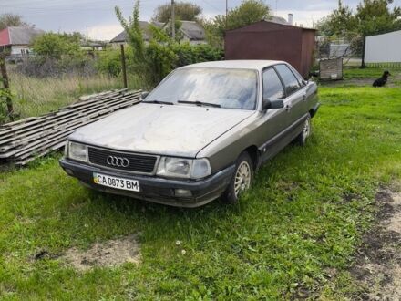 Ауді 100 1987 у Смеле на Automoto.ua Сірий Ауді 100, об'ємом двигуна 2 л та пробігом 230 тис. км за 871 $, фото 1 на Automoto.ua
