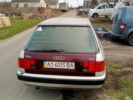 Серый Ауди 100, объемом двигателя 2.31 л и пробегом 511 тыс. км за 1650 $, фото 1 на Automoto.ua