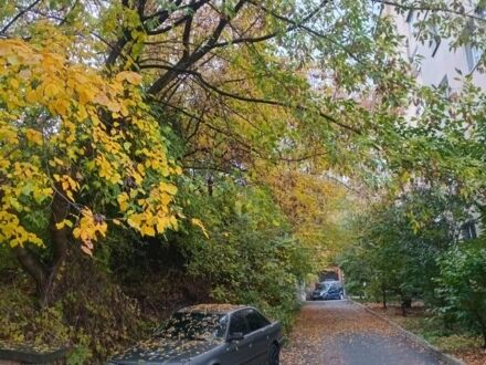 Сірий Ауді 100, об'ємом двигуна 2 л та пробігом 490 тис. км за 1700 $, фото 1 на Automoto.ua