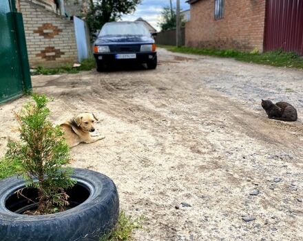 Синий Ауди 100, объемом двигателя 2.3 л и пробегом 0 тыс. км за 1700 $, фото 2 на Automoto.ua