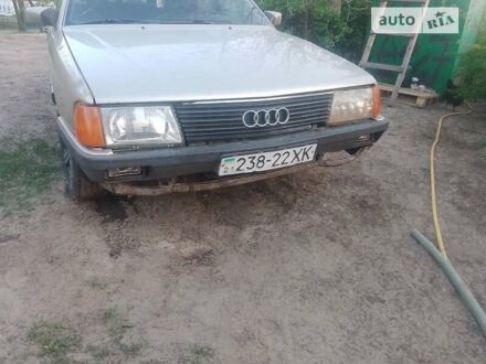 Ауді 200 1984 у Хмельницькому на Automoto.ua Сірий Ауді 200, об'ємом двигуна 2.3 л та пробігом 1 тис. км за 1587 $, фото 1 на Automoto.ua