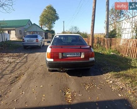 Ауді 80 1990 у Хмельницькому на Automoto.ua Білий Ауді 80, об'ємом двигуна 1.8 л та пробігом 295 тис. км за 800 $, фото 1 на Automoto.ua