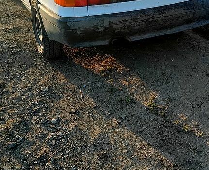 Білий Ауді 80, об'ємом двигуна 1.6 л та пробігом 0 тис. км за 1100 $, фото 1 на Automoto.ua