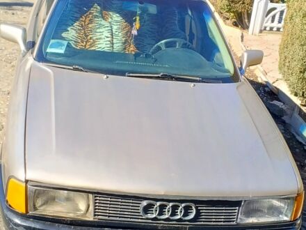 Ауді 80 1987 у Чорткові на Automoto.ua Бежевий Ауді 80, об'ємом двигуна 1.6 л та пробігом 359 тис. км за 1909 $, фото 1 на Automoto.ua