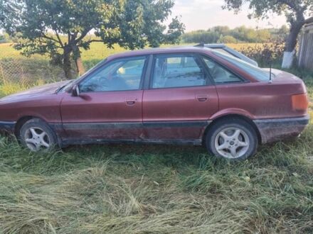 Ауди 80 1988 в Житомире на Automoto.ua Красный Ауди 80, объемом двигателя 0 л и пробегом 200 тыс. км за 1100 $, фото 1 на Automoto.ua