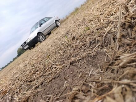 Ауди 80 1987 в Ржищеве на Automoto.ua Серый Ауди 80, объемом двигателя 1.8 л и пробегом 300 тыс. км за 2200 $, фото 1 на Automoto.ua