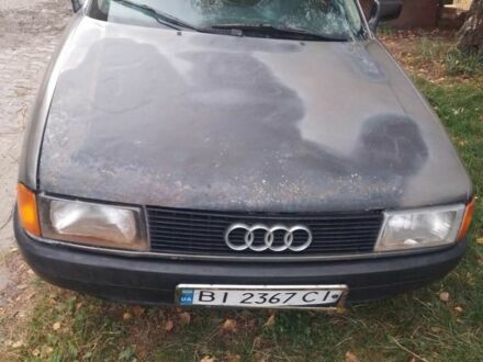Ауди 80 1987 в Полтаве на Automoto.ua Серый Ауди 80, объемом двигателя 1.8 л и пробегом 200 тыс. км за 1600 $, фото 1 на Automoto.ua