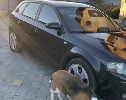 Черный Ауди А3, объемом двигателя 1.6 л и пробегом 325 тыс. км за 5900 $, фото 5 на Automoto.ua