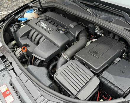 Черный Ауди А3, объемом двигателя 1.6 л и пробегом 212 тыс. км за 8599 $, фото 51 на Automoto.ua