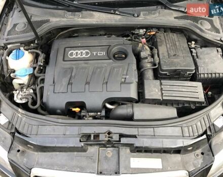 Ауді А3 2010 у Черкасах на Automoto.ua Чорний Ауді А3, об'ємом двигуна 1.6 л та пробігом 226 тис. км за 8300 $, фото 9 на Automoto.ua