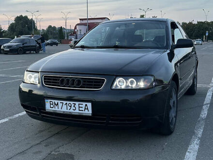 Ауди А3 1997 в Сумах на Automoto.ua Черный Ауди А3, объемом двигателя 1.6 л и пробегом 358 тыс. км за 3200 $, фото 1 на Automoto.ua