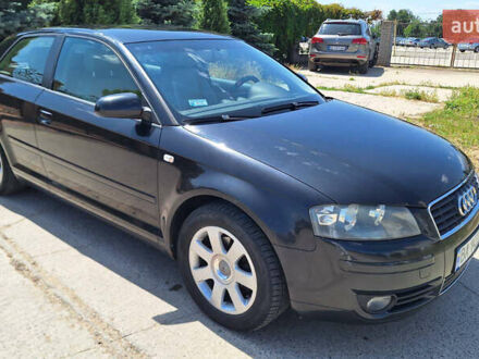 Ауди А3 2004 в Южноукраинске на Automoto.ua Черный Ауди А3, объемом двигателя 1.6 л и пробегом 282 тыс. км за 5800 $, фото 1 на Automoto.ua