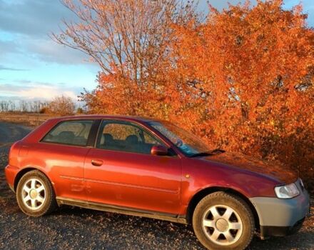 Ауди А3 1998 в Полтаве на Automoto.ua Красный Ауди А3, объемом двигателя 1.6 л и пробегом 255 тыс. км за 2700 $, фото 1 на Automoto.ua