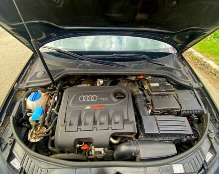 Ауди А3, объемом двигателя 20 л и пробегом 185 тыс. км за 8600 $, фото 12 на Automoto.ua