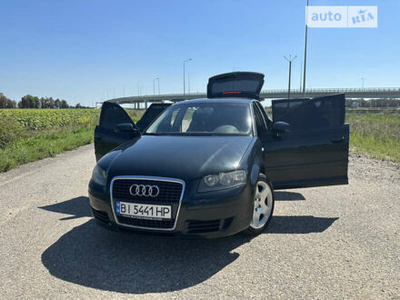 Ауді А3 2005 у Полтаві на Automoto.ua Зелений Ауді А3, об'ємом двигуна 1.6 л та пробігом 213 тис. км за 6300 $, фото 1 на Automoto.ua