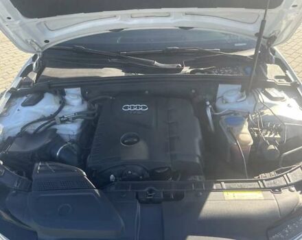 Белый Ауди А4, объемом двигателя 2 л и пробегом 202 тыс. км за 13750 $, фото 14 на Automoto.ua