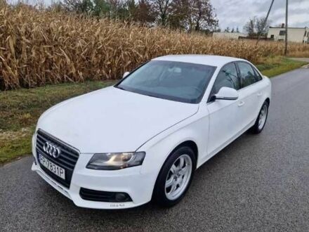 Ауди А4 2009 в Сумах на Automoto.ua Белый Ауди А4, объемом двигателя 2 л и пробегом 310 тыс. км за 2200 $, фото 1 на Automoto.ua