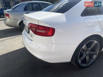 Ауди А4 2014 в Березно на Automoto.ua Белый Ауди А4, объемом двигателя 2 л и пробегом 265 тыс. км за 13500 $, фото 1 на Automoto.ua