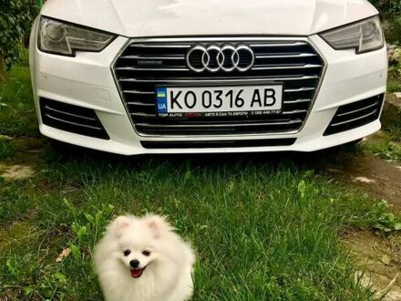 Белый Ауди А4, объемом двигателя 1.98 л и пробегом 143 тыс. км за 14400 $, фото 1 на Automoto.ua