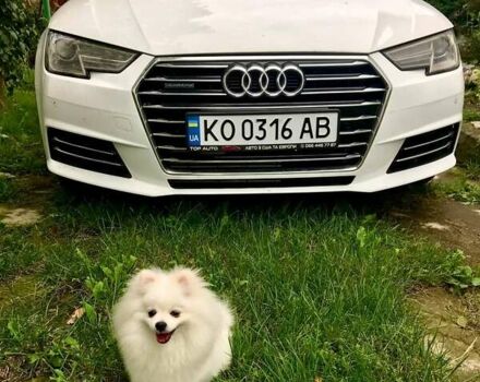 Білий Ауді А4, об'ємом двигуна 1.98 л та пробігом 143 тис. км за 14400 $, фото 1 на Automoto.ua