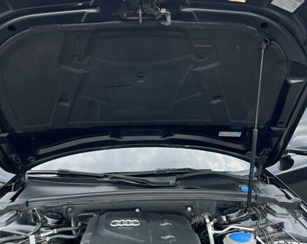Ауди А4 2013 в Мукачеве на Automoto.ua Черный Ауди А4, объемом двигателя 2 л и пробегом 222 тыс. км за 14500 $, фото 63 на Automoto.ua