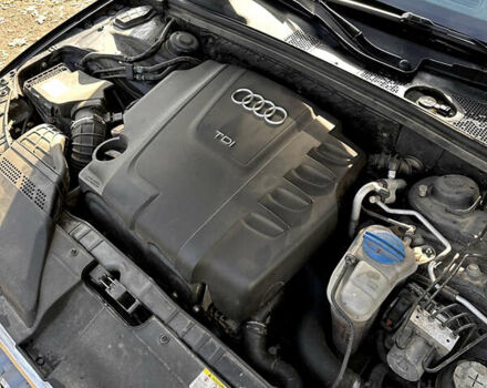 Черный Ауди А4, объемом двигателя 2 л и пробегом 342 тыс. км за 11950 $, фото 23 на Automoto.ua