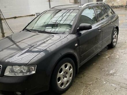 Ауди А4 2002 в Изяслве на Automoto.ua Черный Ауди А4, объемом двигателя 2.5 л и пробегом 289 тыс. км за 5500 $, фото 1 на Automoto.ua