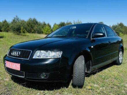 Ауди А4 2003 в Луцке на Automoto.ua Черный Ауди А4, объемом двигателя 0 л и пробегом 194 тыс. км за 5500 $, фото 1 на Automoto.ua