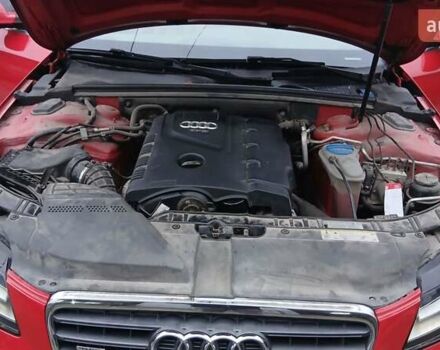 Червоний Ауді А4, об'ємом двигуна 1.98 л та пробігом 179 тис. км за 9800 $, фото 36 на Automoto.ua