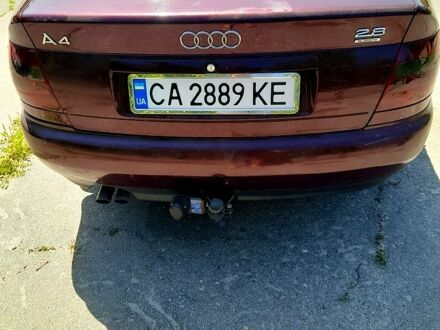Ауди А4 1996 в Умани на Automoto.ua Красный Ауди А4, объемом двигателя 2.8 л и пробегом 387 тыс. км за 3800 $, фото 1 на Automoto.ua