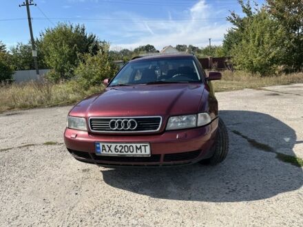 Ауди А4 1999 в Лозовой на Automoto.ua Красный Ауди А4, объемом двигателя 1.6 л и пробегом 3 тыс. км за 3200 $, фото 1 на Automoto.ua