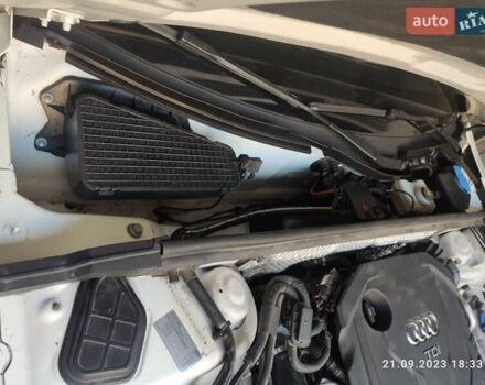 Ауди А4, объемом двигателя 2.01 л и пробегом 230 тыс. км за 16998 $, фото 24 на Automoto.ua