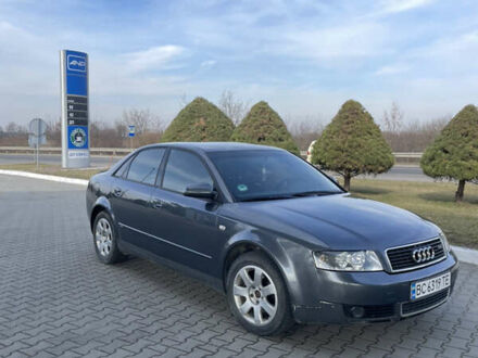 Ауді А4 2002 у Жовкві на Automoto.ua Ауді А4, об'ємом двигуна 2 л та пробігом 220 тис. км за 4700 $, фото 1 на Automoto.ua