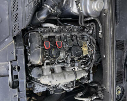 Ауді А4 2015 у Львові на Automoto.ua Сірий Ауді А4, об'ємом двигуна 1.98 л та пробігом 131 тис. км за 13800 $, фото 41 на Automoto.ua