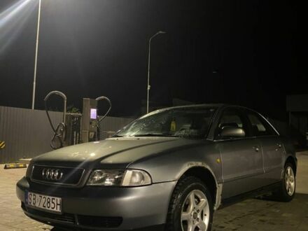 Ауди А4 1998 в Городке на Automoto.ua Серый Ауди А4, объемом двигателя 2.5 л и пробегом 200 тыс. км за 1600 $, фото 1 на Automoto.ua