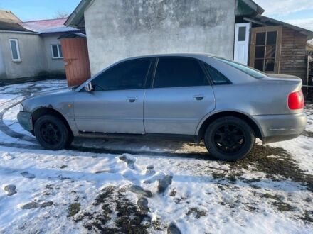 Ауді А4 1998 у Кременце на Automoto.ua Сірий Ауді А4, об'ємом двигуна 0 л та пробігом 150 тис. км за 1150 $, фото 1 на Automoto.ua