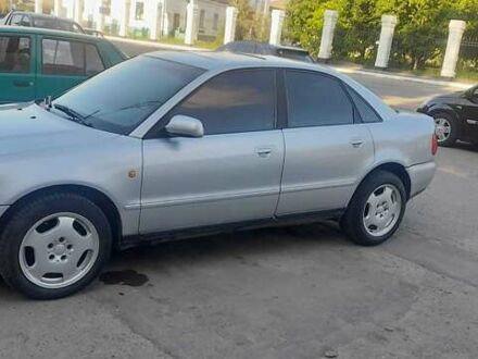 Ауди А4 1998 в Хмельницком на Automoto.ua Серый Ауди А4, объемом двигателя 1.6 л и пробегом 400 тыс. км за 2350 $, фото 1 на Automoto.ua